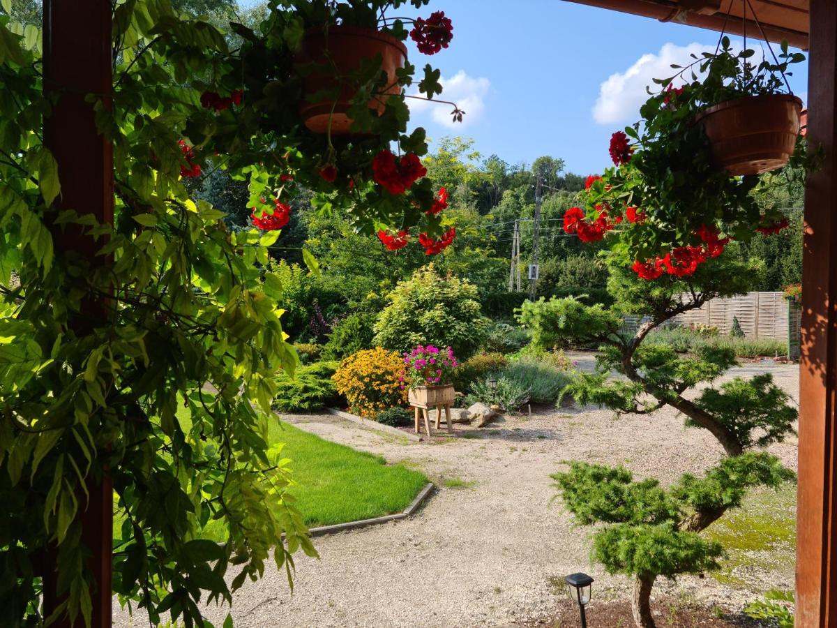Apartament Malinowa Dolina クウォツコ エクステリア 写真