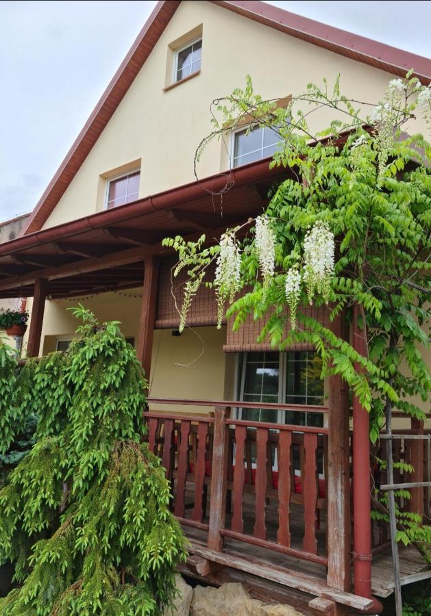 Apartament Malinowa Dolina クウォツコ エクステリア 写真